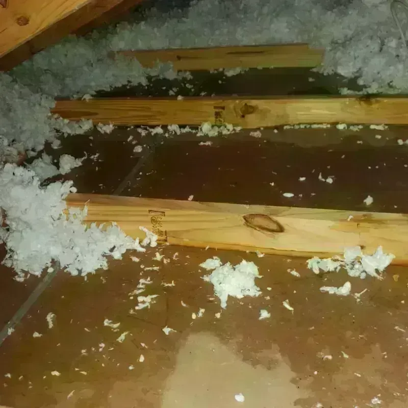 Attic Water Damage in Bluffton, IN